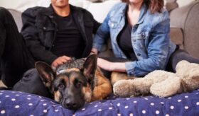 image of couple with rescue German Shepherd